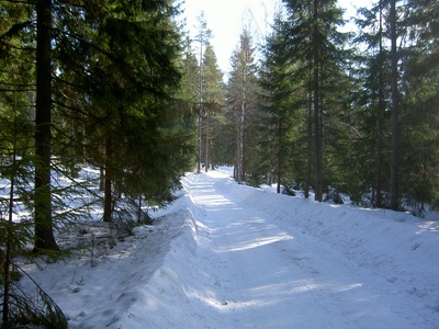 vinter_21_400